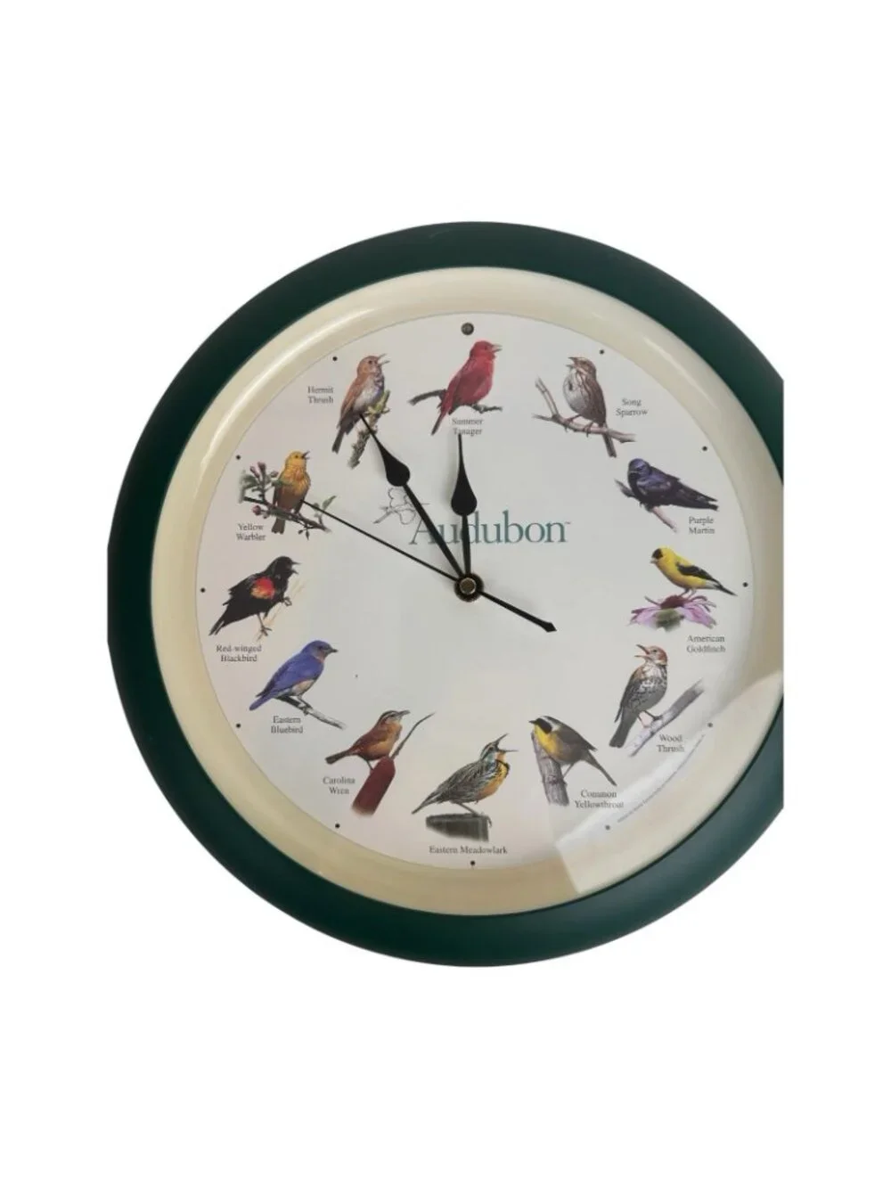 Audubon Singing Bird Wall Clock Nature Birdwatching Decor Green Round Clock